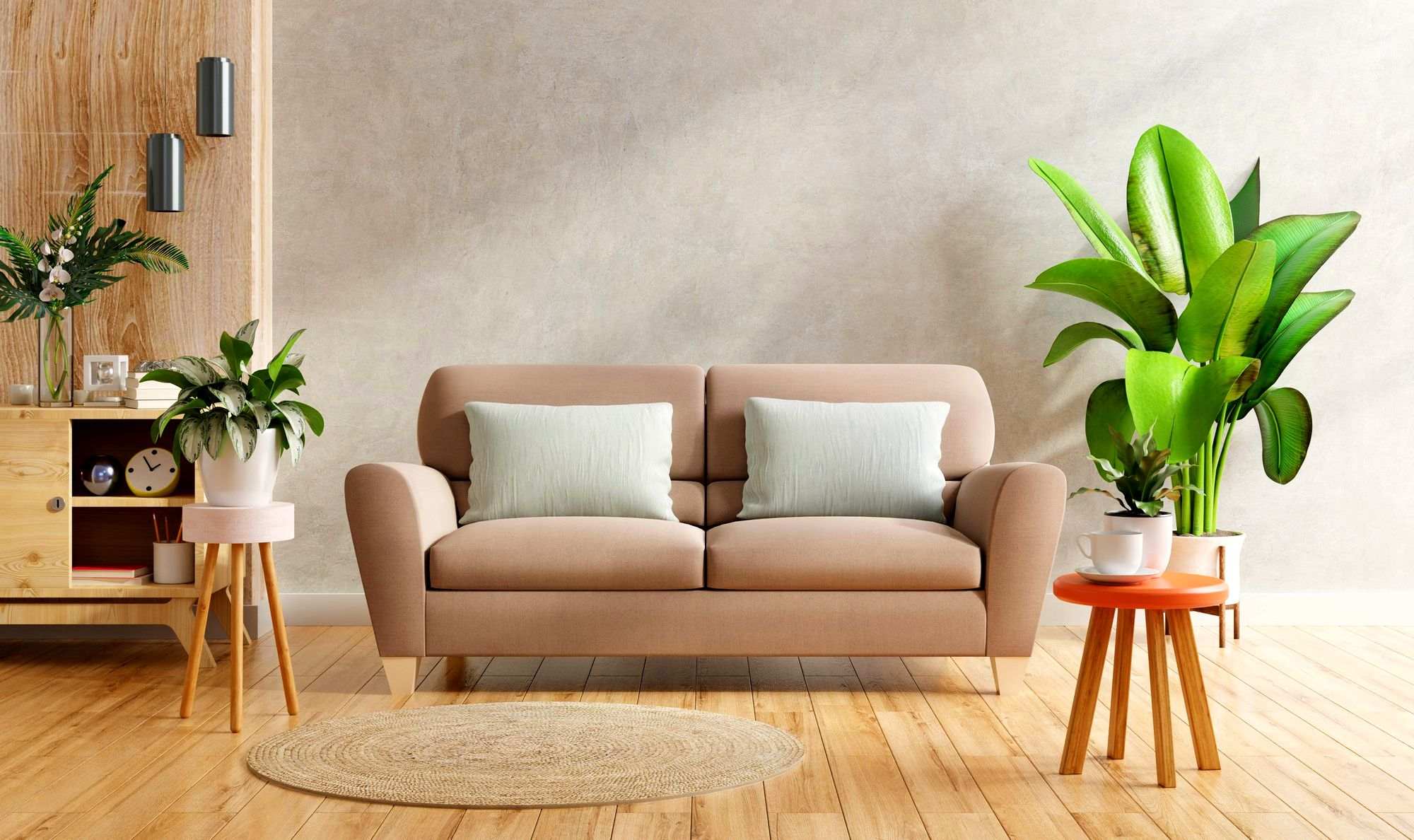 Sofa & Cushions Cleaning  image